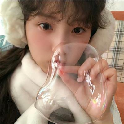 莫莉计划
